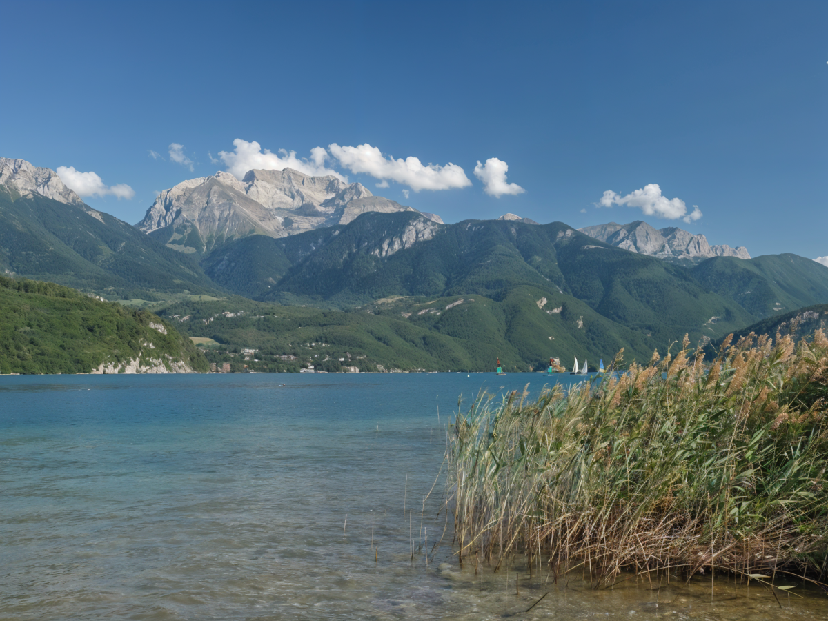 Sentier Les Roselières - Camping le Solitaire du Lac
